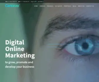 Cartoozo.com(Search Engine Marketing & Internet Marketing Company) Screenshot