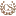 Casadisassi.com Favicon