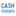 Cashtrainers.com Logo