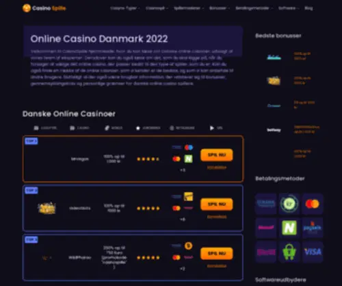 Casino-Spille.com Screenshot