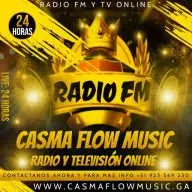 Casmaflowmusic.ga Favicon