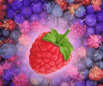 Cassava.org(Cassava) Screenshot