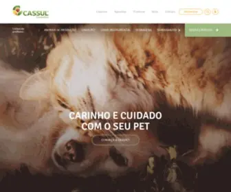 Cassul.com.br(Cassul distribuidora) Screenshot