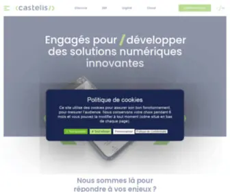 Castelis.com(Développement informatique) Screenshot