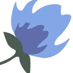 Castlenolana.com Favicon