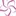 Catalinacruz.com Favicon