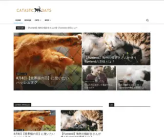 Catastic-Days.com(Catastic Days) Screenshot