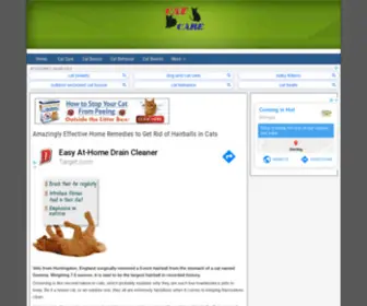 Catcarementor.com(Cat Care) Screenshot