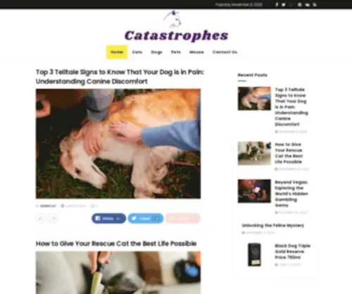 Catcatastrophes.com(Catcatastrophes) Screenshot