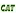 Catchacat.org Favicon