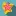 Catchingcarla.com Favicon