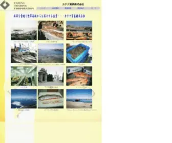 Catenatrading.co.jp(Catenatrading) Screenshot