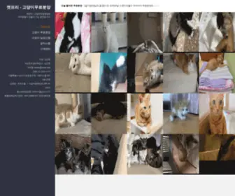 Catfree.co.kr(고양이무료분양) Screenshot