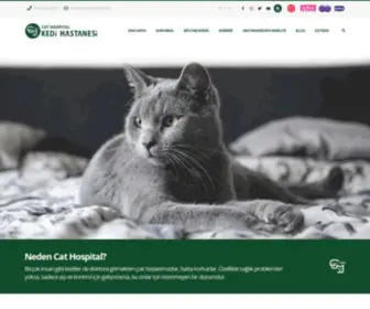 Cathospital.com.tr(Cat Hospital Resmi Web Sitesi) Screenshot