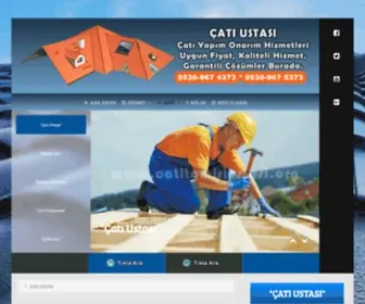 Catitamiriustasi.org(İSTANBUL) Screenshot