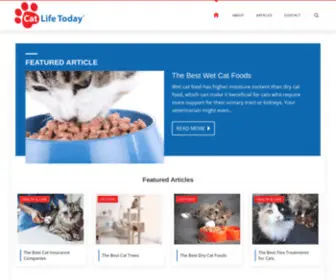 Catlifetoday.com(Cat Care Advice) Screenshot