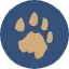 Catmosphere.org Favicon