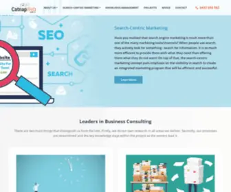Catnapweb.com.au(Search-Centric Marketing & Knowledge Management) Screenshot