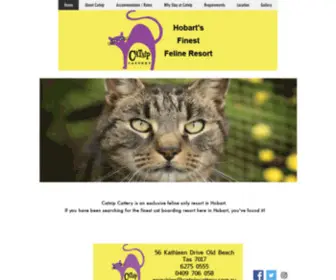 Catnipcattery.com.au(Cat Boarding Hobart Catnip Cattery) Screenshot