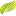 Catobolam.co.nz Favicon