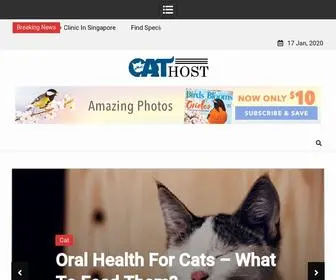 Cats-Host.com(Pet Blog) Screenshot