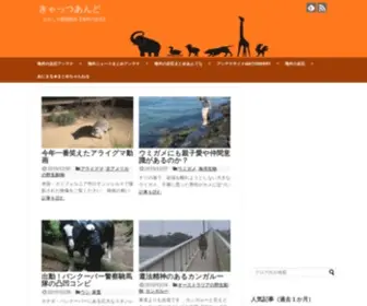 Catsand-Blog.com(きゃっつあんど) Screenshot
