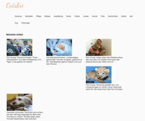 Catsbri.com(Welt der katzen und hunde 2023) Screenshot