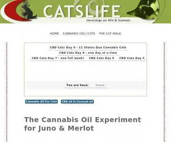 Catslife.com(Mewsings about the life feline) Screenshot