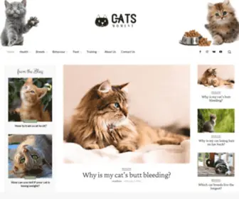 Catsmoment.com(Cats Moment) Screenshot