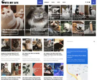 Catsmylife.com(Cats My Life) Screenshot