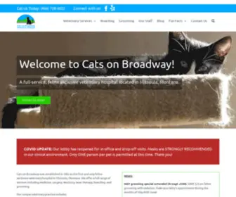 Catsonbroadwayhospital.com(Cats on Broadway Veterinary Hospital) Screenshot