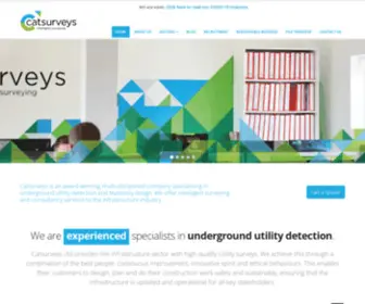 Catsurveys.com(Underground Utility Detection & Mobile GPR) Screenshot