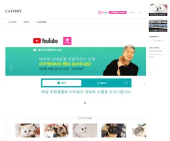 Cattery.co.kr(고양이분양) Screenshot