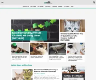 Cattime.com(The place for all things feline) Screenshot