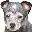 Cattledog.com Favicon