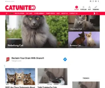 Catunited.com Screenshot