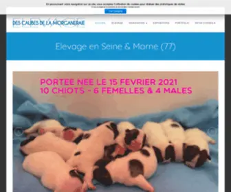 Caubes.com(Ile de France) Screenshot