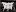 Caustichollow.com Favicon