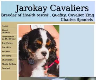 Cavalierking.co.za(Jarokay Kennels) Screenshot