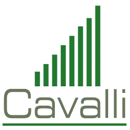 Cavallibusinesscenter.com Favicon