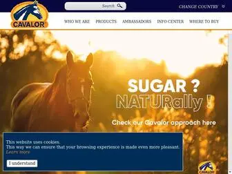 Cavalor.com(Corporate Site) Screenshot