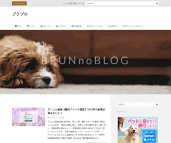 Cavapoo-Brun.net(キャバリアとトイプードル) Screenshot