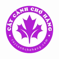 Caycanhchohang.com Favicon