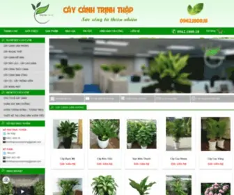 Caycanhtrinhthap.com(CHO) Screenshot