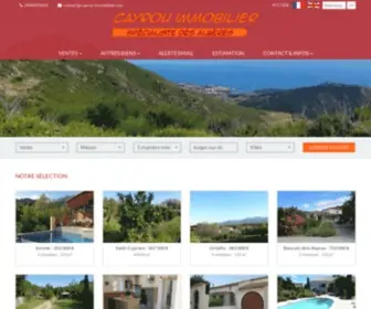 Cayrou-Immobilier.com(Annonce immobilière) Screenshot