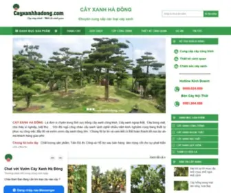 Cayxanhhadong.com(Cây xanh Hà Đông) Screenshot