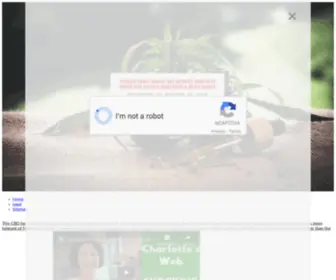 CBdhemparena.com(Cbd hangover) Screenshot