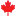 CBDshopcanada.com Favicon