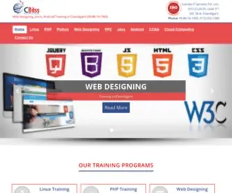 Cbitss.in(Web Designing) Screenshot