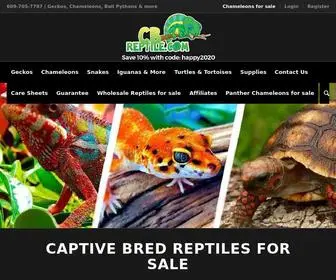 Cbreptile.com(Chameleons for sale) Screenshot